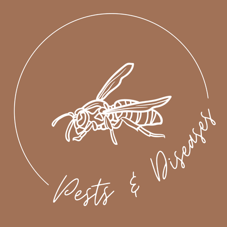 Pests & Diseases
