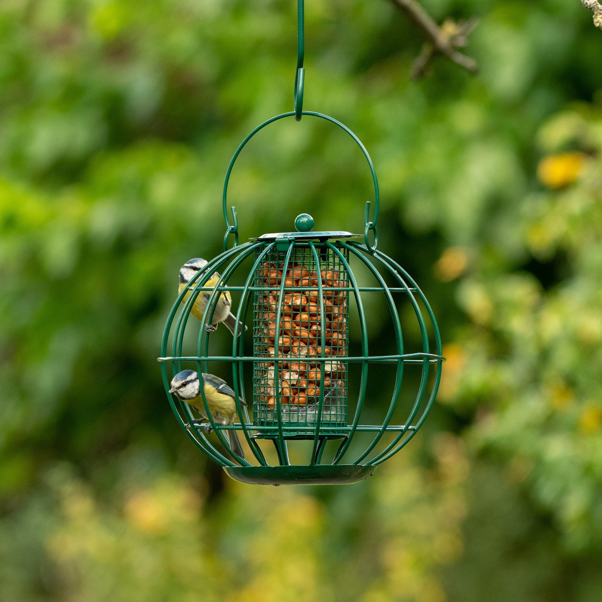 The London Squirrel Resistant Peanut Feeder