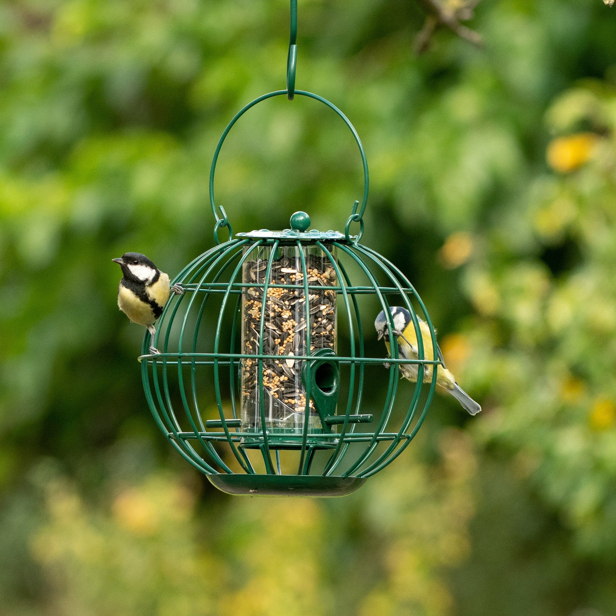 The London Squirrel Resistant Peanut Feeder