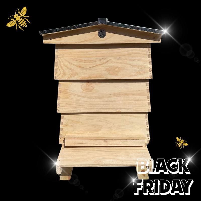 WBC Hive - Pine - DECEMBER 2025 DELIVERY