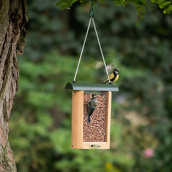 Tulsa Peanut or Suet Pellet Feeder