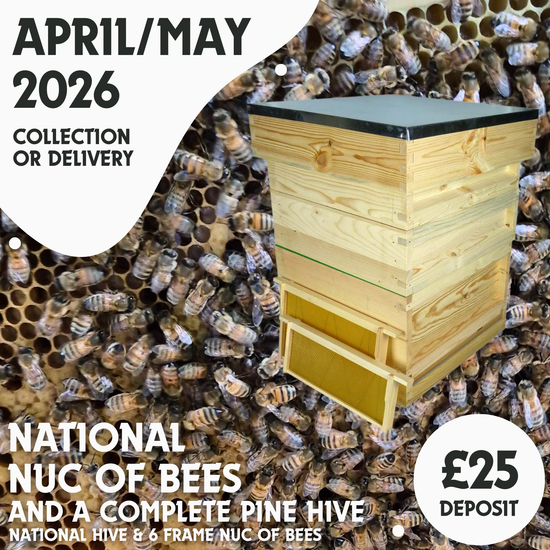 National Complete Pine Hive Kit with a Nuc of Bees