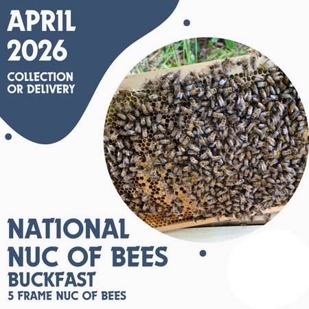 2026 Nucs