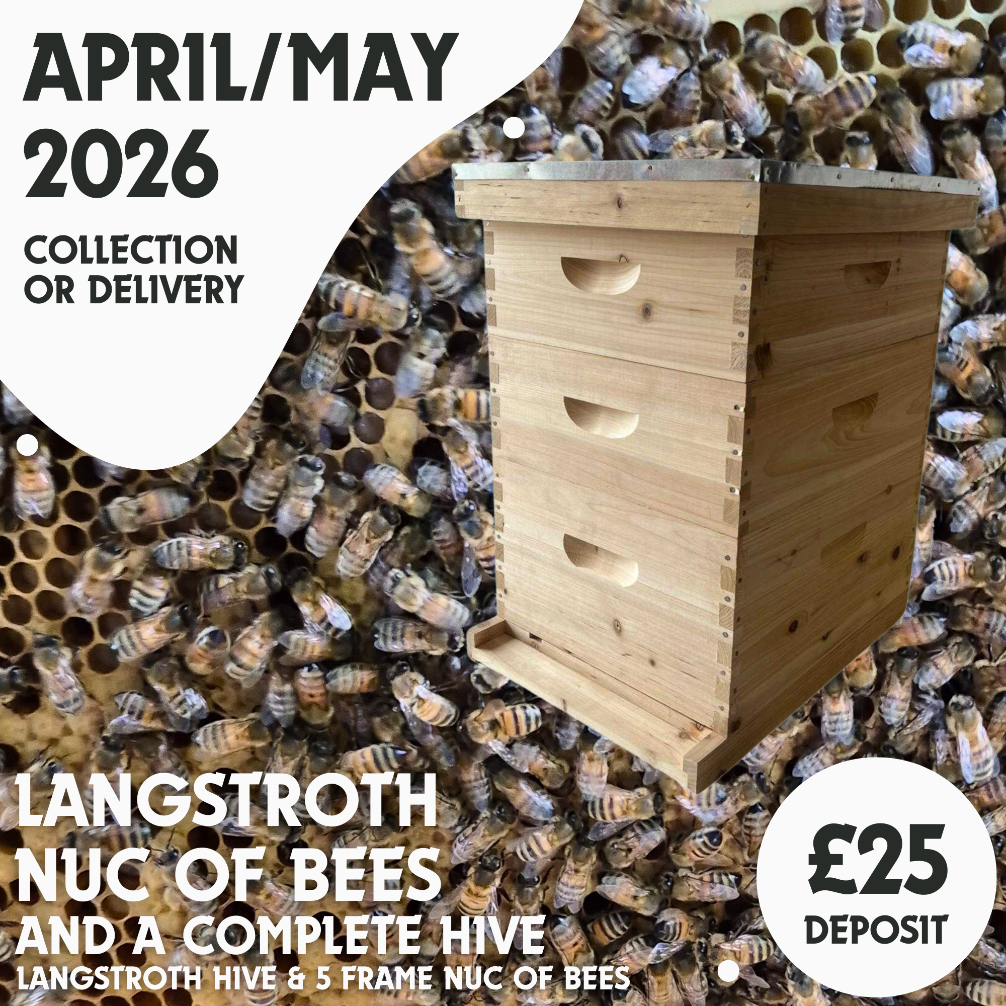 Langstroth Complete Hive Kit with a Nuc of Bees