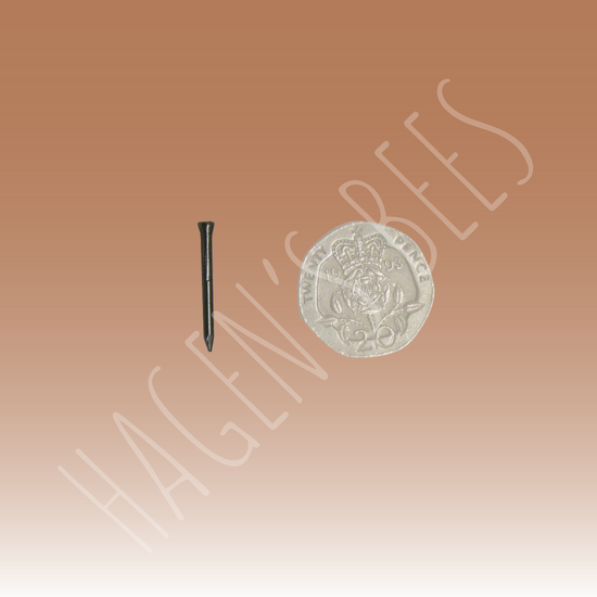 1kg Frame Nails - 20mm x 1.6mm (250g)