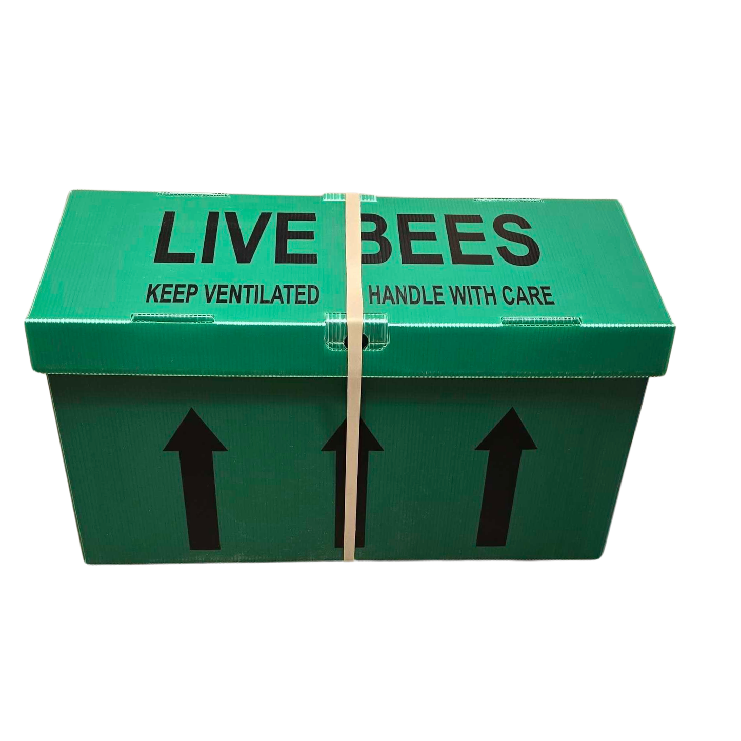 Langstroth Correx® 5 Frame Nuc Box