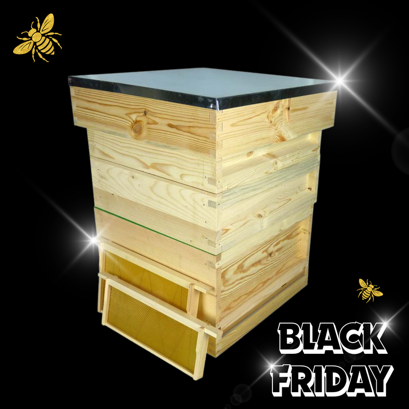 National Complete Premium Hive Kit with Frames & Wax Foundation - Pine