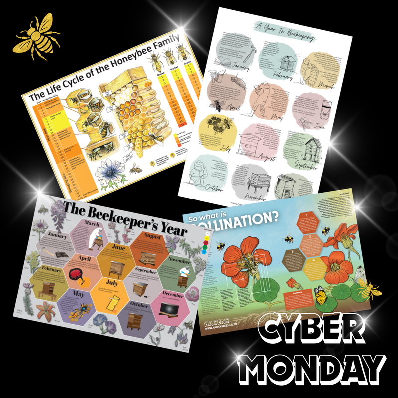 Choose Your Poster Pack - 3 Posters