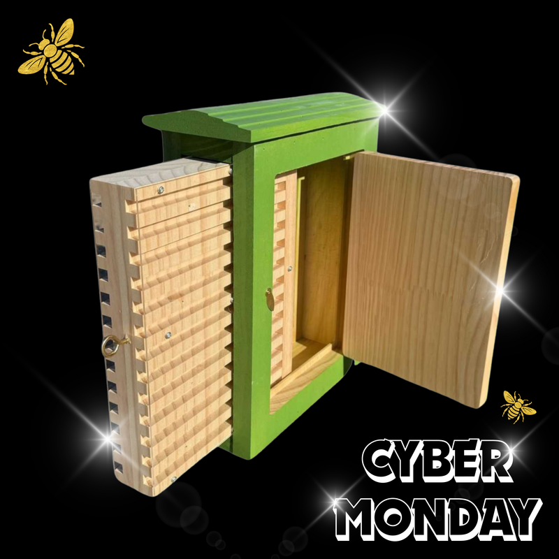 Wild Bee Observation Box in Cedar - Painted Green