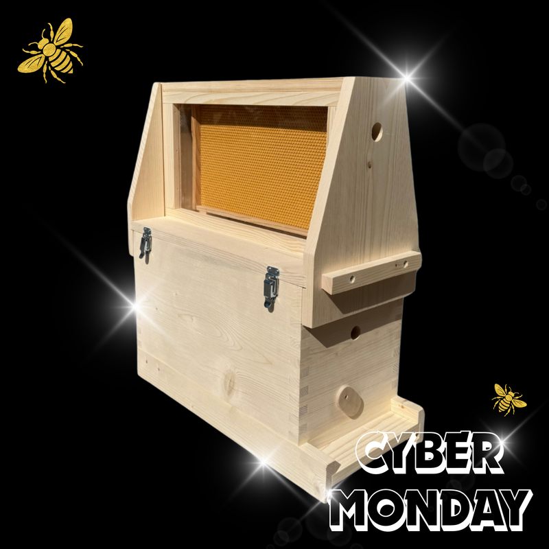 National 5 Frame Observation Hive - Pine - JANUARY 2026 DELIVERY