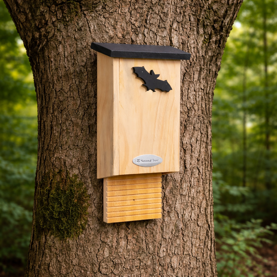 Glamis Bat Box by National Trust