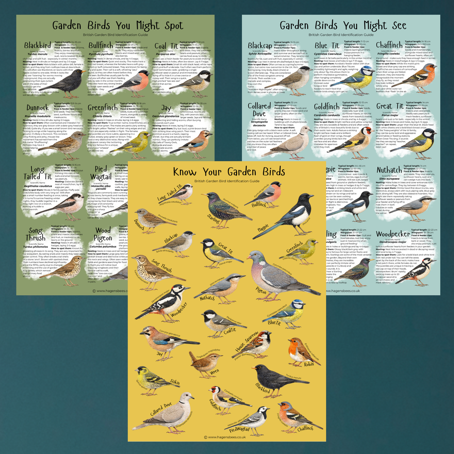 British Garden Bird Poster Bundle - A1 – Educational Wildlife Identification Set
