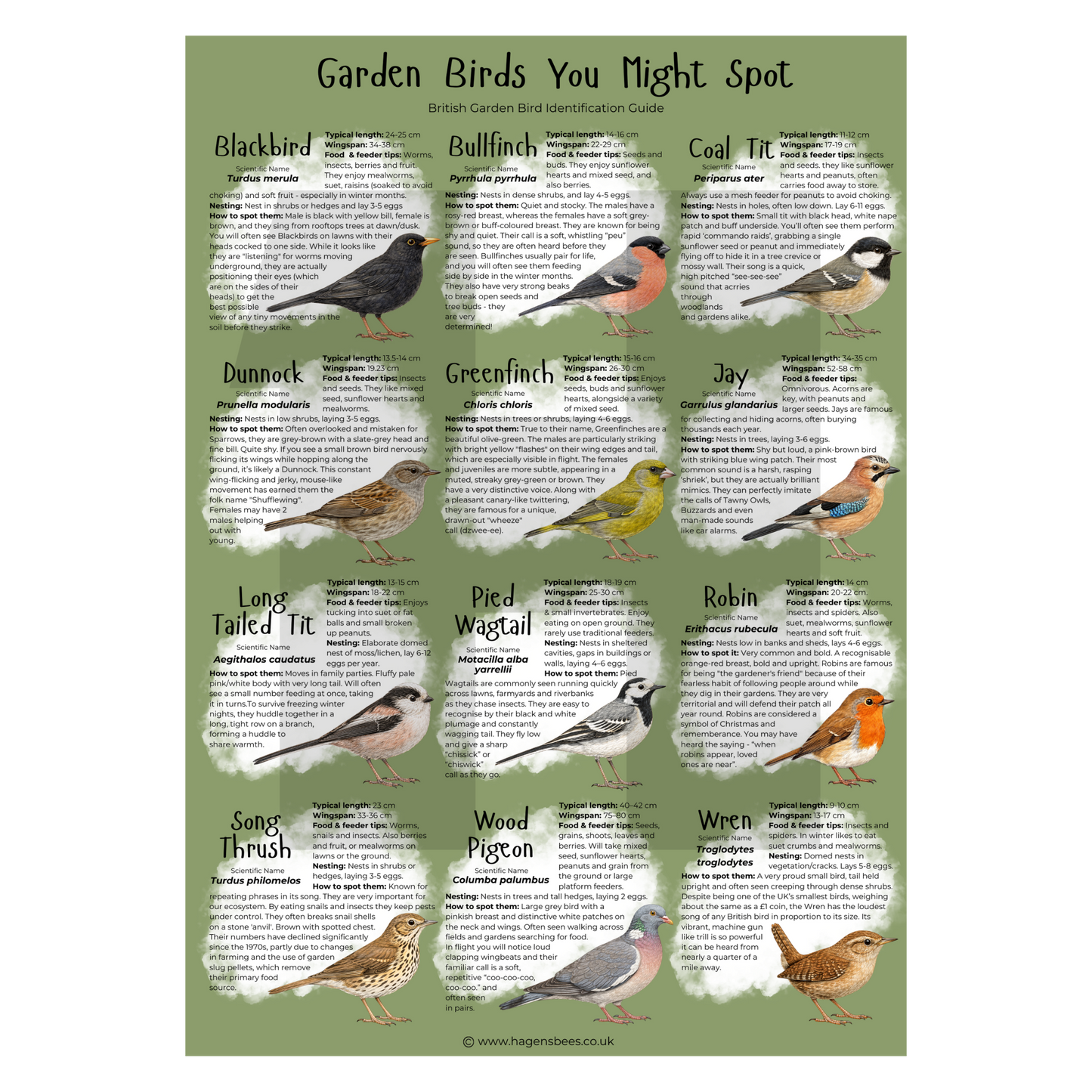 British Garden Bird Poster Bundle - A1 – Educational Wildlife Identification Set