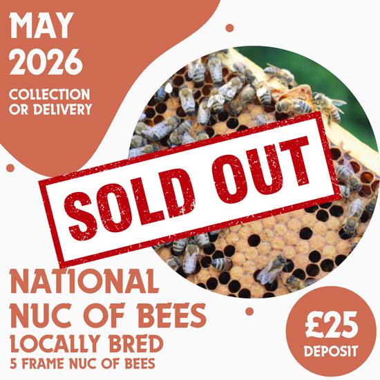 National 5 Frame Nuc of Bees - Locally Bred Queen - Ready May 2026