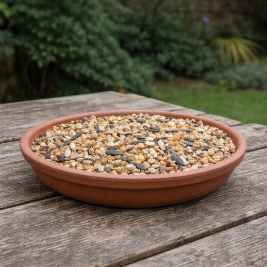 Garden Bird Seed Mix - 1kg or 2.5kg