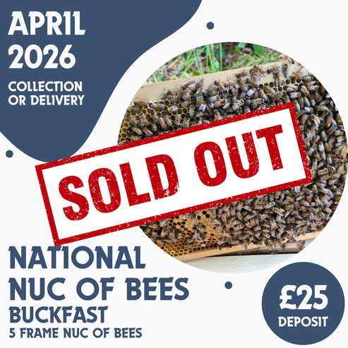 National 5 Frame Nuc of Bees - Buckfast - Ready April 2026