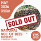 National 5 Frame Nuc of Bees - Buckfast - Ready May 2026