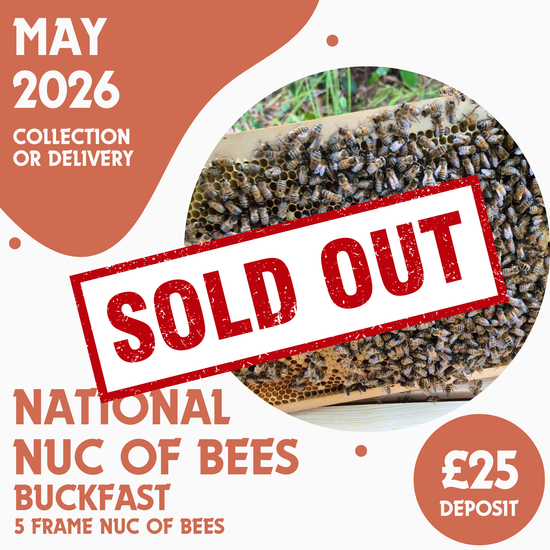 National 5 Frame Nuc of Bees - Buckfast - Ready May 2026