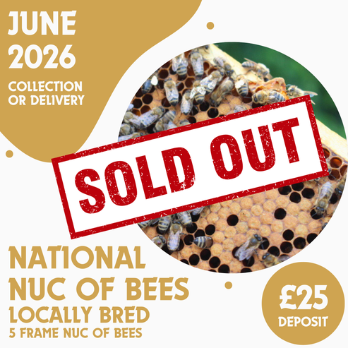 National 5 Frame Nuc of Bees - Locally Bred Queen - Ready June 2026