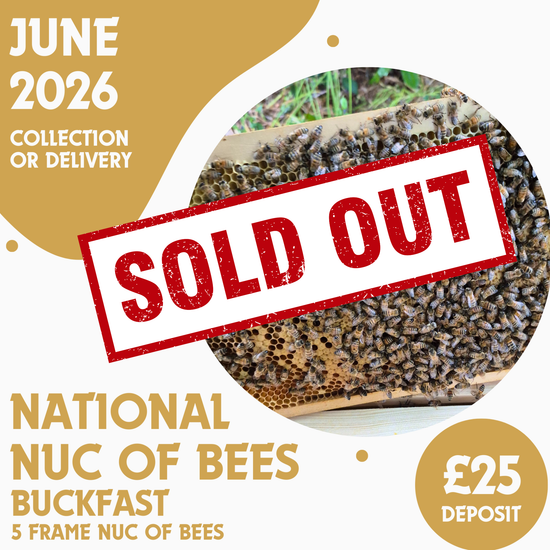 National 5 Frame Nuc of Bees - Buckfast - Ready June 2026