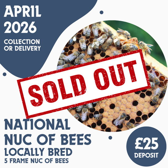 National 5 Frame Nuc of Bees - Locally Bred Queen - Ready April 2026