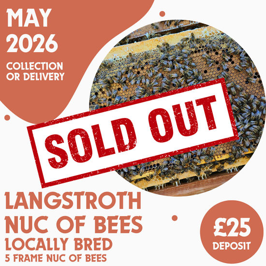 Langstroth 5 Frame Nuc of Bees - Locally Bred Queen - Ready May 2026