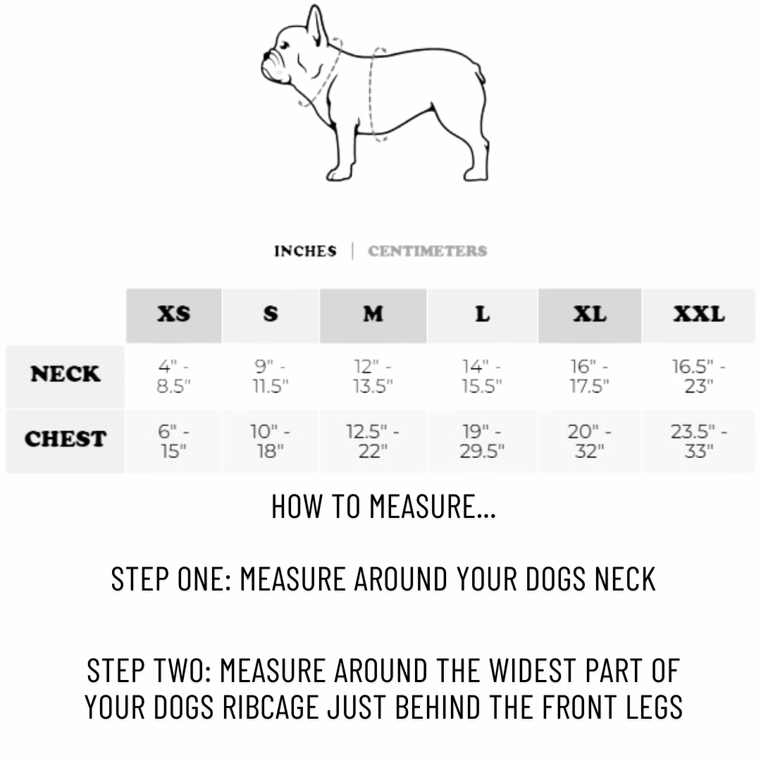 Frenchie Dog Hoodie - Black & White