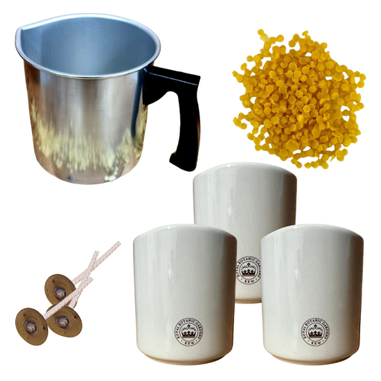 Candlemaking Kit - 3 Kew Gardens Ceramic Jars, Wicking Tabs, 200g Beeswax Beads & Melting Pot