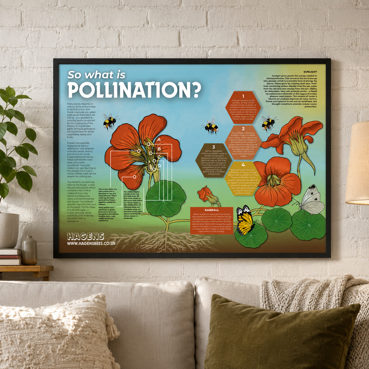 So What Is Pollination? A1 Poster