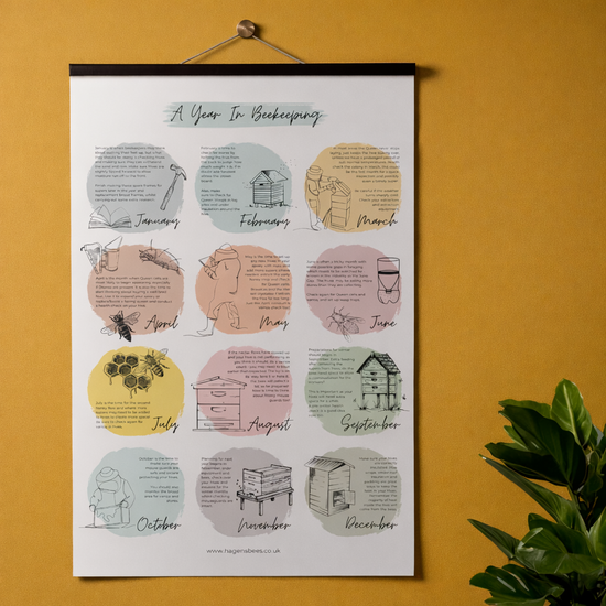 A Year In Beekeeping A1 Poster