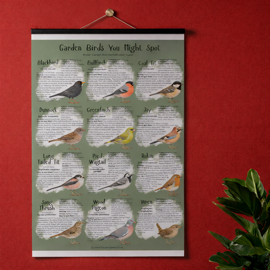 Garden Birds You Might Spot - British Bird Identification A1 Poster