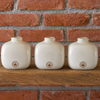 Kew Botanical Gardens Ceramic Pots for Scented Oils - Set of 3