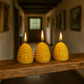 The Trio Of Mini Skeps Candle Mould