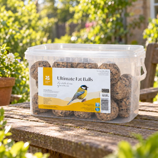Ultimate Fat Balls 30 Pack - National Trust
