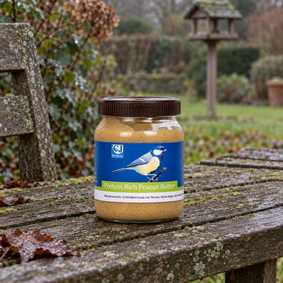 Protein Rich Peanut Butter for Birds