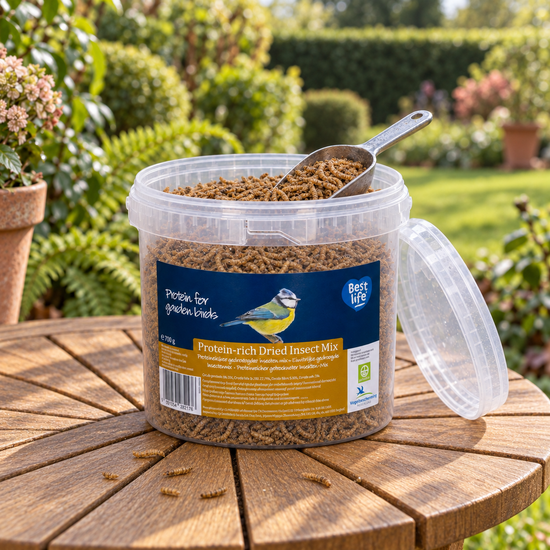 Protein Rich Dried Insect Tub 700g