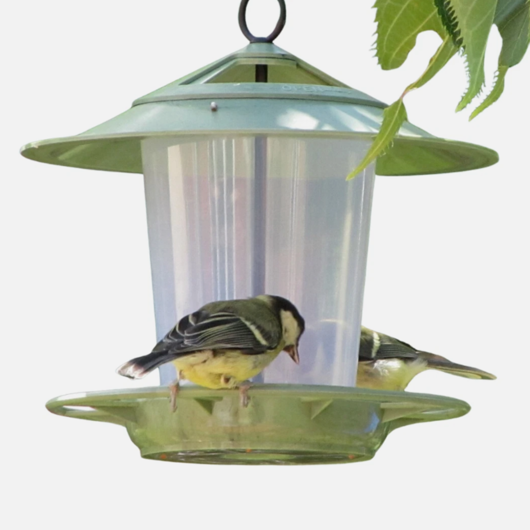 Eco Beacon Bird Feeder