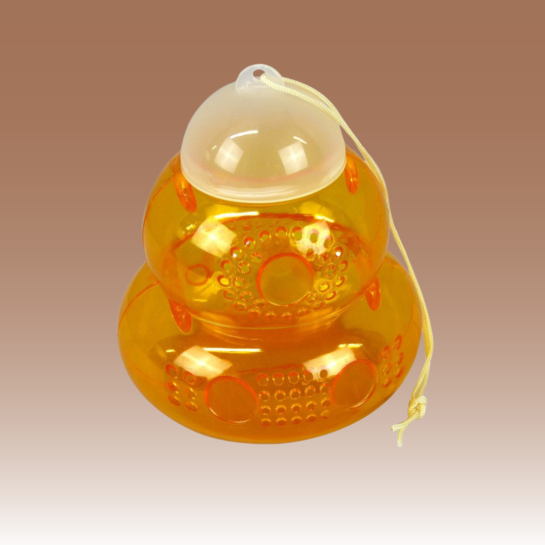 Hornet / Wasp Trap
