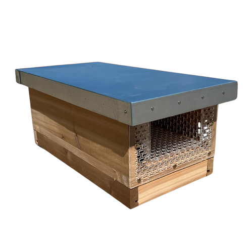 The Ultimate Asian Hornet Trap in Cedar