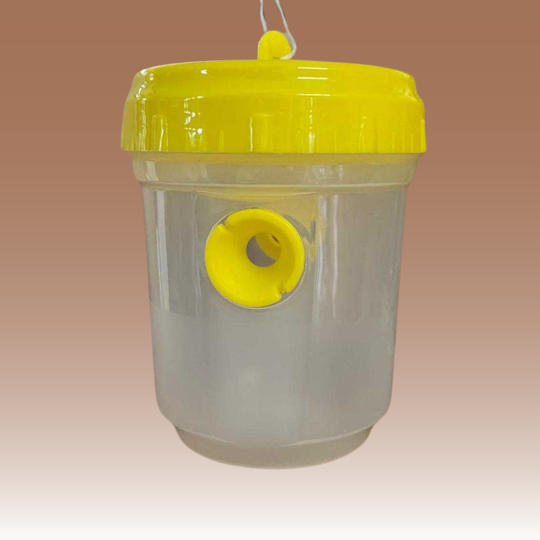 Wasp Trap - Single or Pack of 5