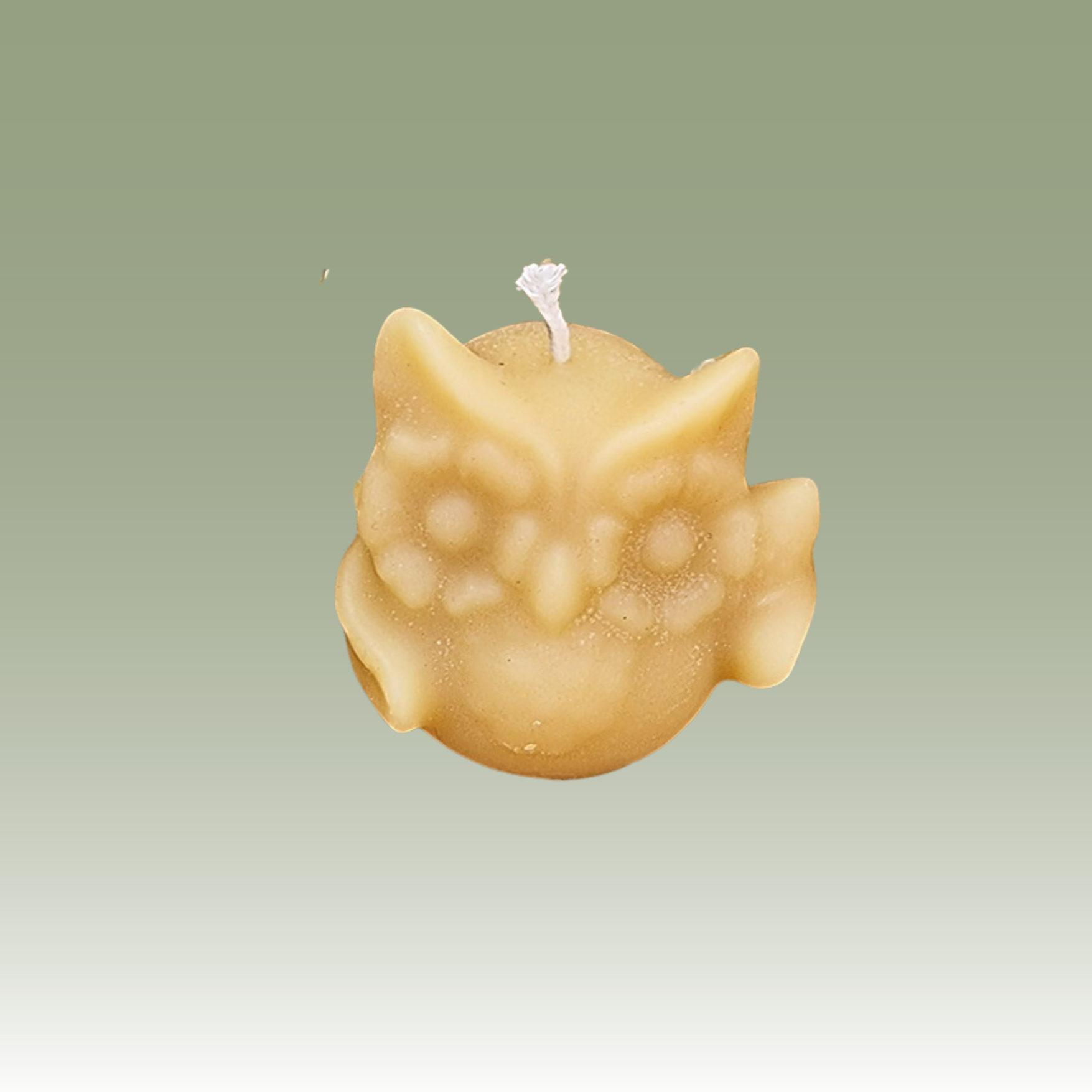 The Waving Owl Candle Mould