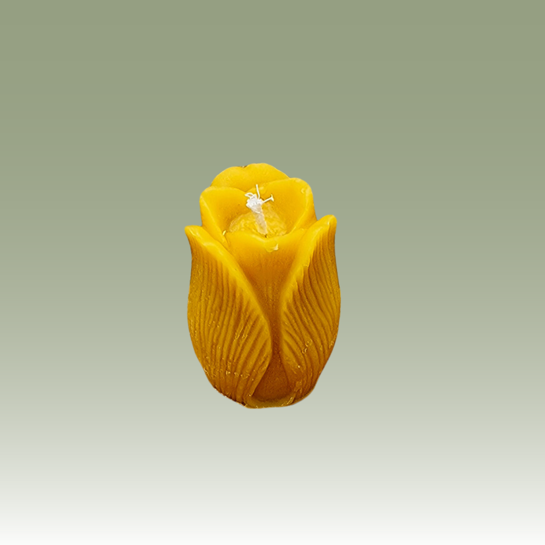 The Tulip Candle Mould