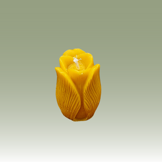 The Tulip Candle Mould