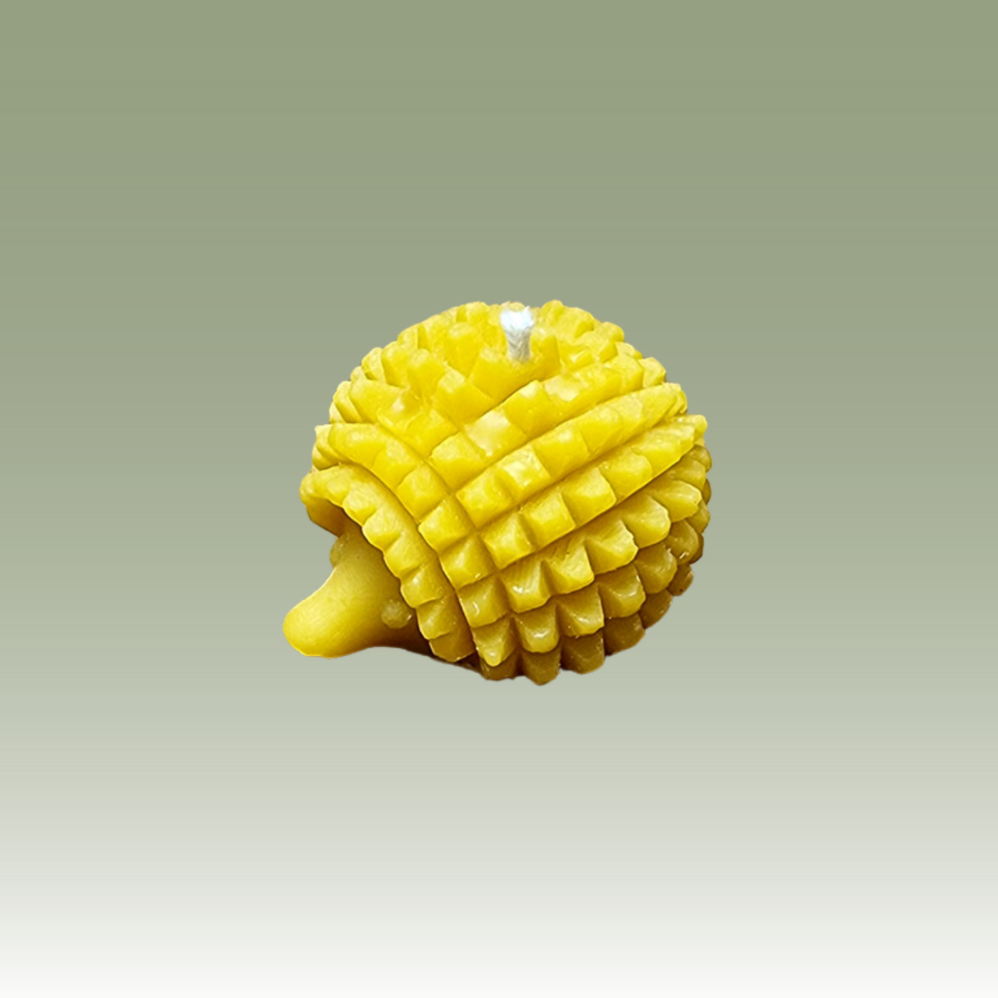 The Spikey Hedgehog Candle Mould