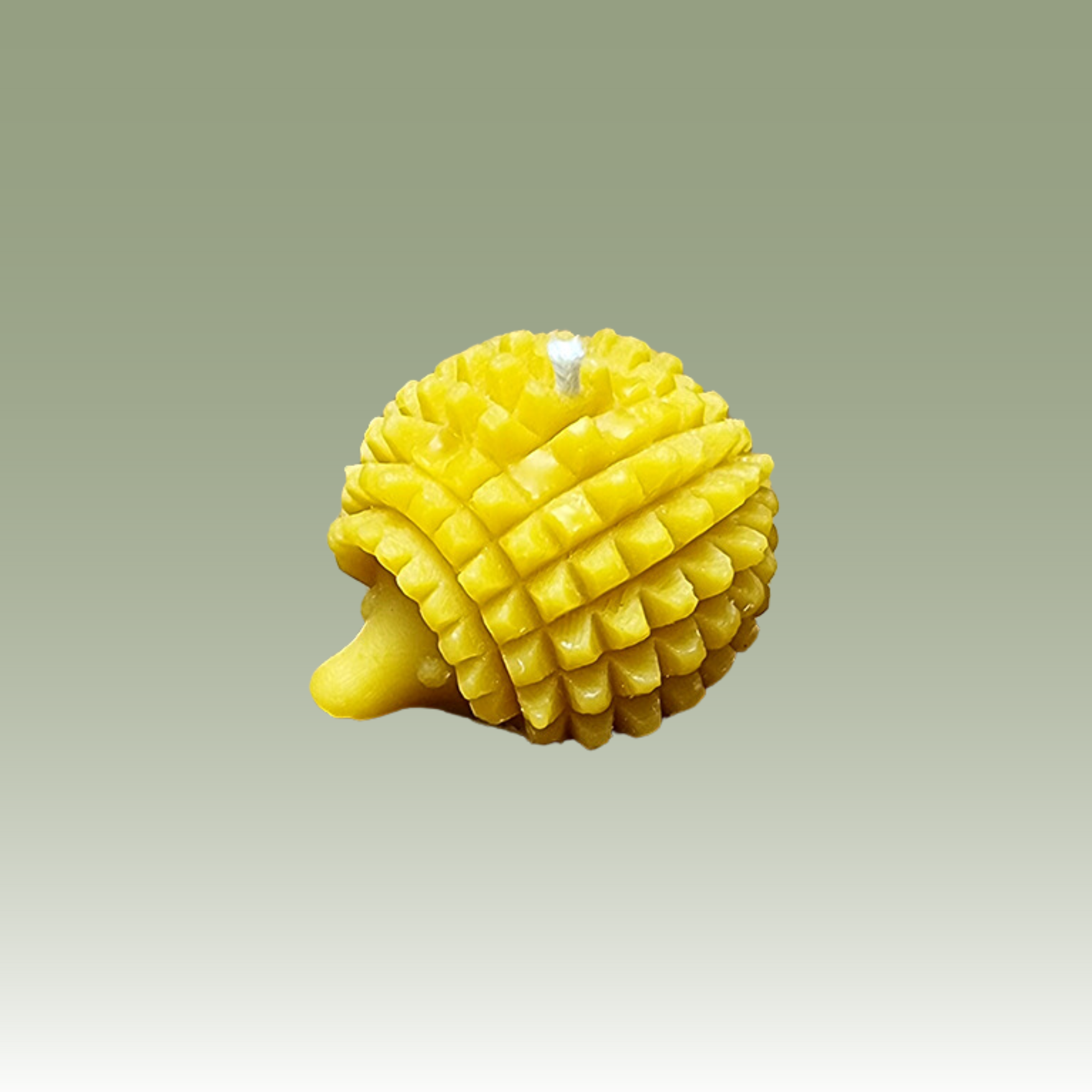 The Spikey Hedgehog Candle Mould