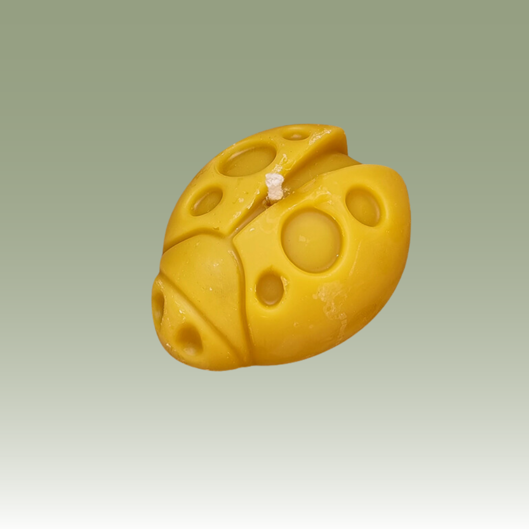 The Ladybird Candle Mould