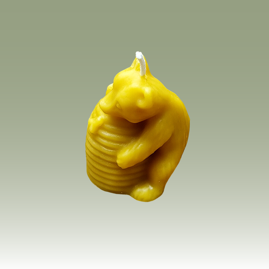 The Bear & Hive Candle Mould
