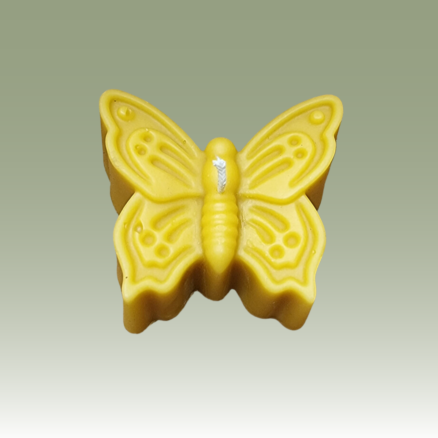 The Butterfly Candle Mould