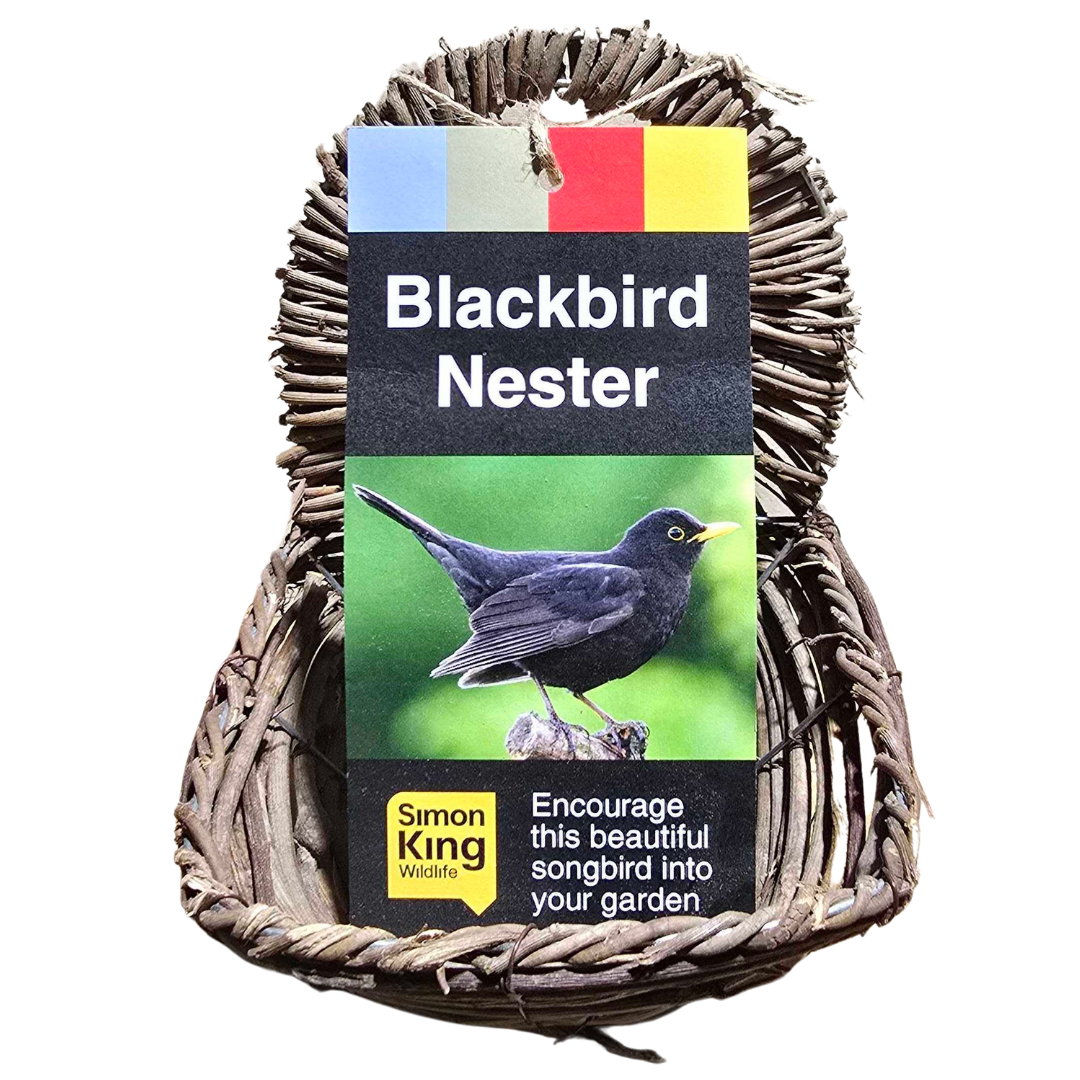 Blackbird Nester by Simon King