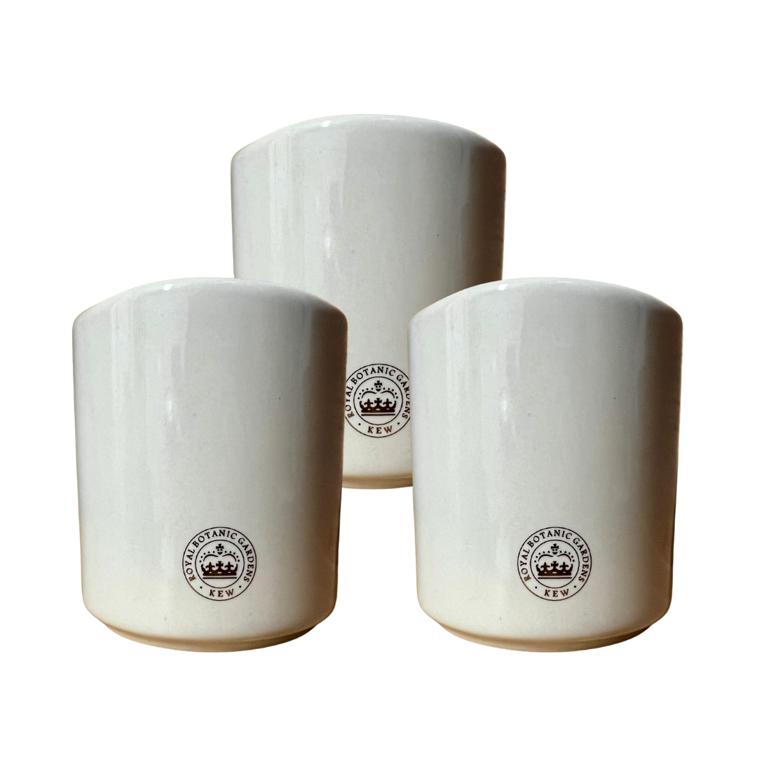 Kew Candle Jars with Gold Rim & Wicking Tabs - Set of 3
